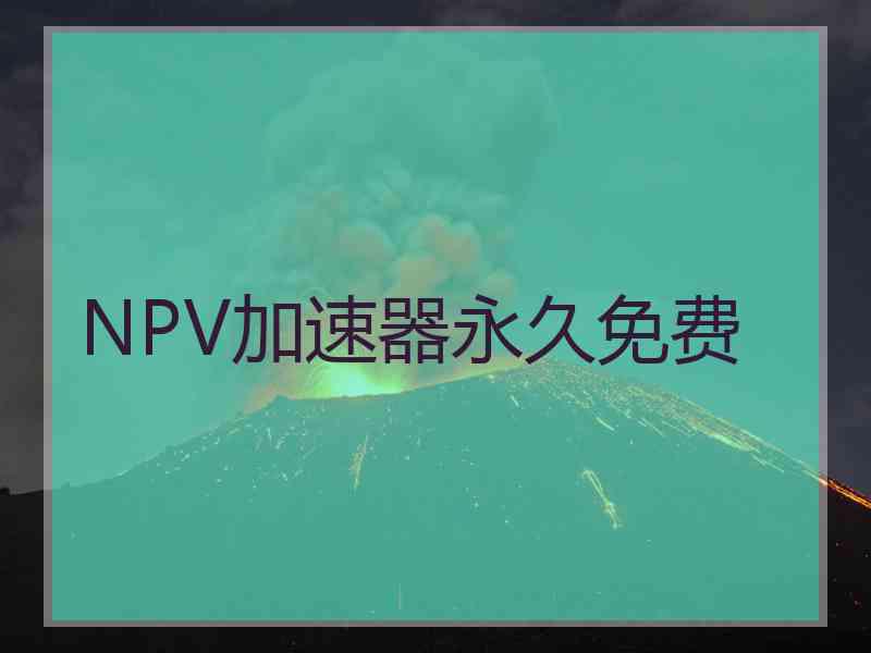 NPV加速器永久免费