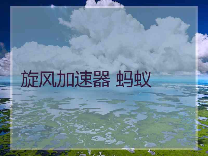 旋风加速器 蚂蚁