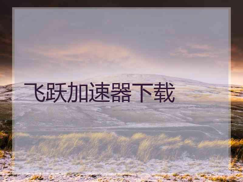 飞跃加速器下载