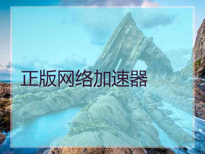 正版网络加速器
