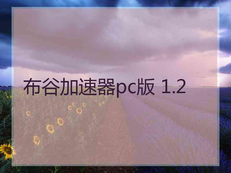 布谷加速器pc版 1.2