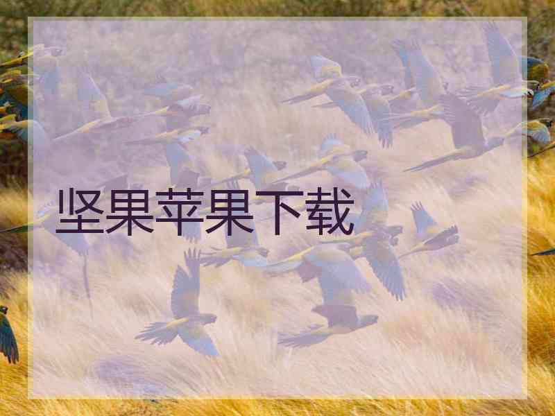 坚果苹果下载