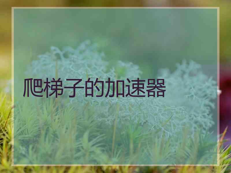爬梯子的加速器