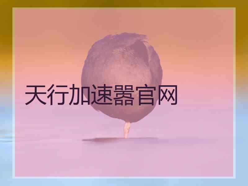 天行加速嚣官网