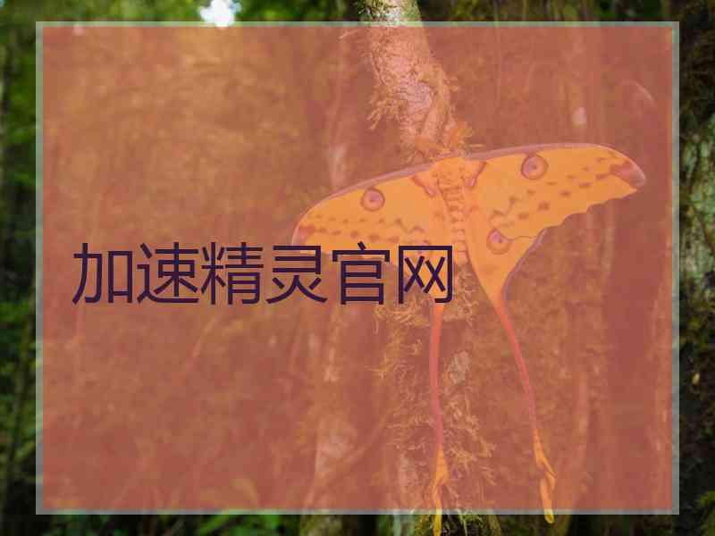 加速精灵官网