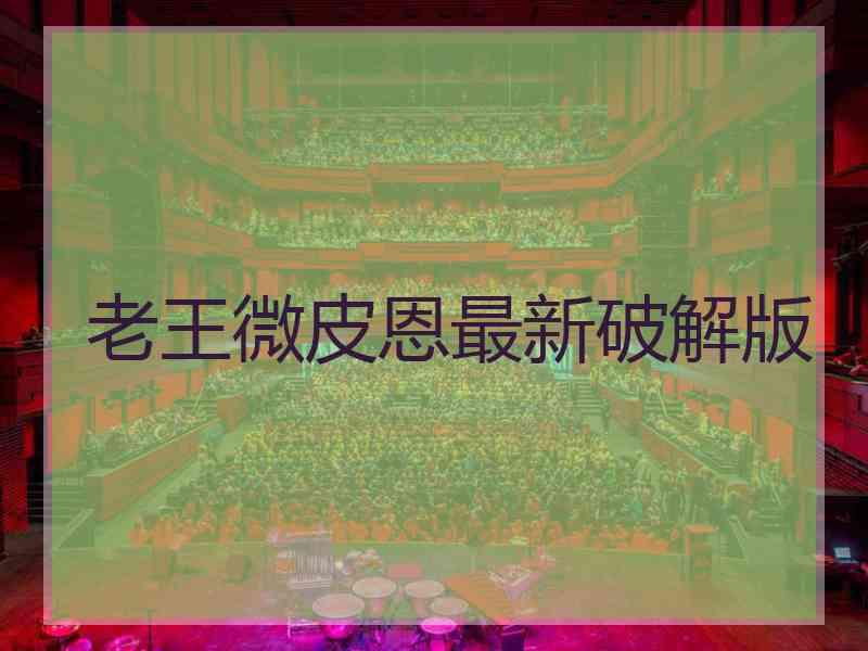 老王微皮恩最新破解版
