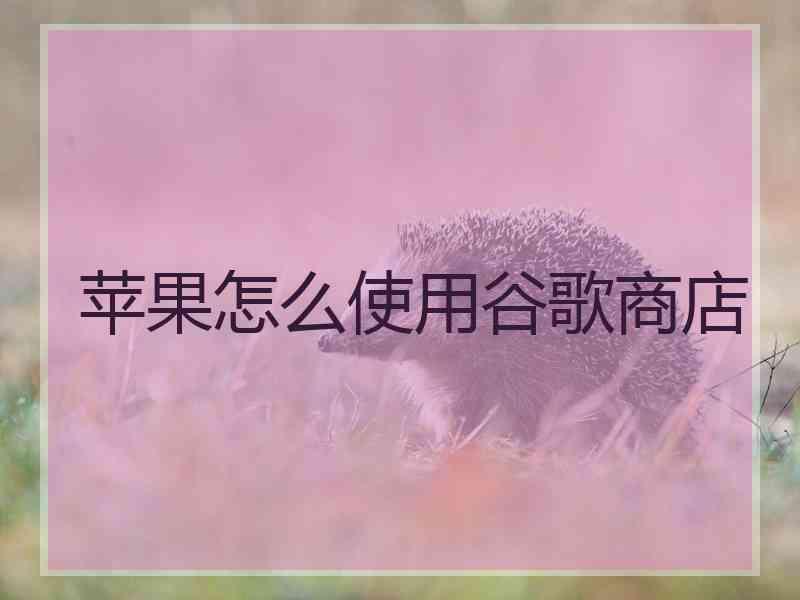 苹果怎么使用谷歌商店