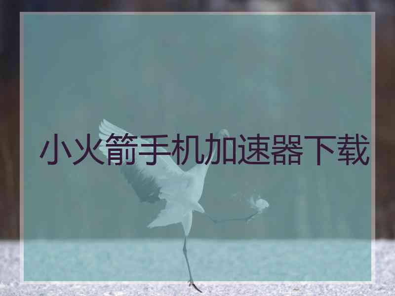 小火箭手机加速器下载