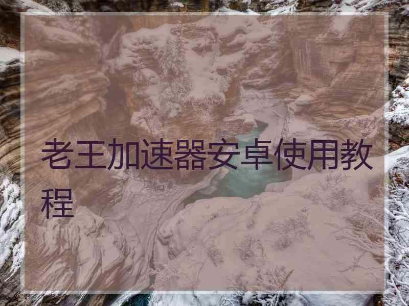 老王加速器安卓使用教程