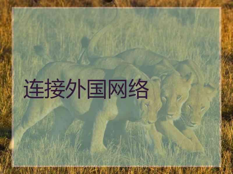 连接外国网络