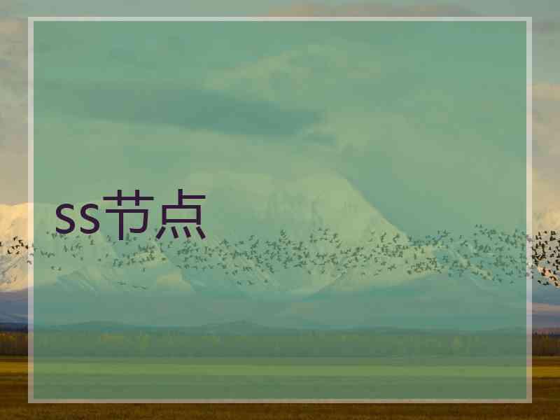 ss节点