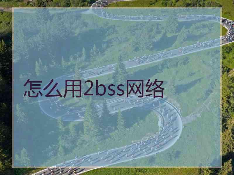 怎么用2bss网络