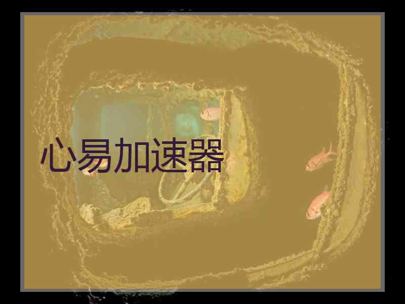 心易加速器