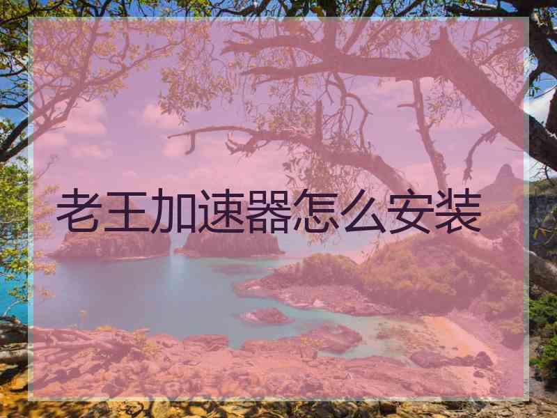 老王加速器怎么安装