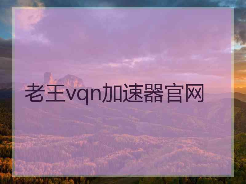 老王vqn加速器官网
