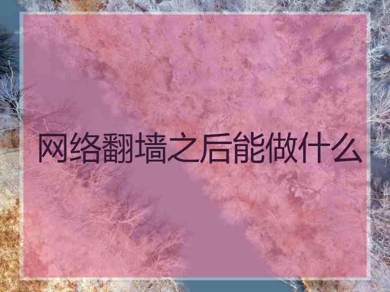 网络翻墙之后能做什么