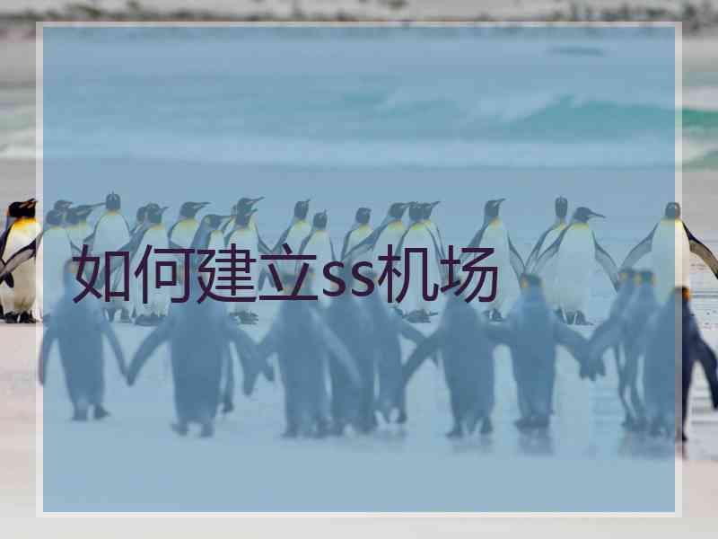 如何建立ss机场