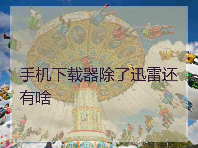 手机下载器除了迅雷还有啥