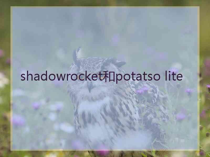 shadowrocket和potatso lite