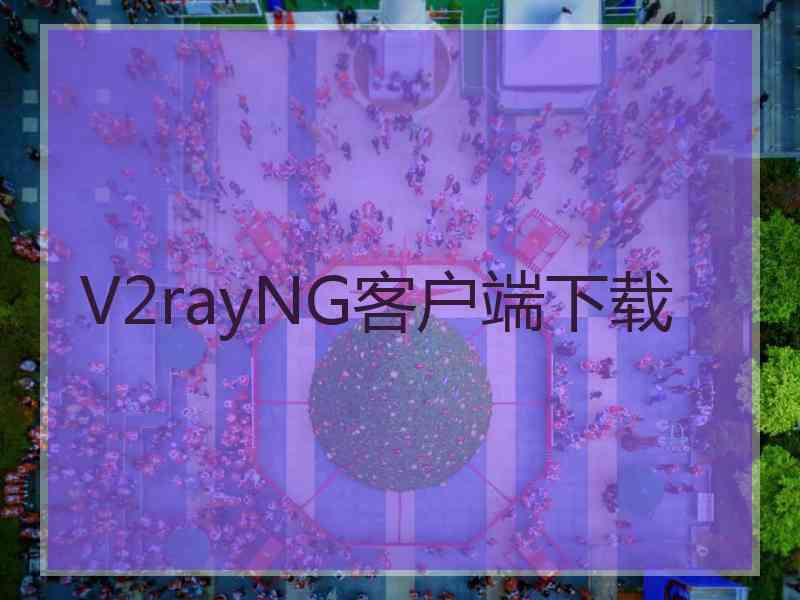 V2rayNG客户端下载