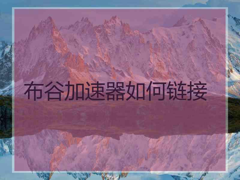 布谷加速器如何链接