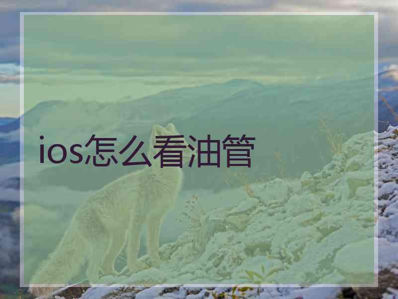 ios怎么看油管