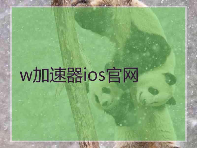 w加速器ios官网