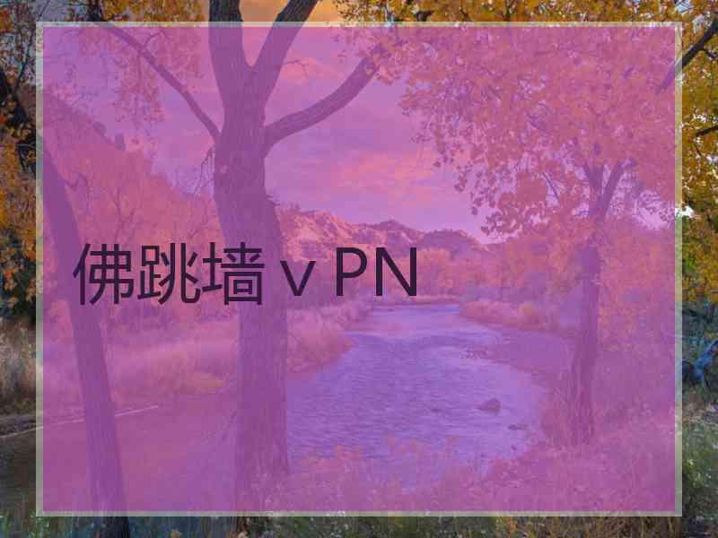 佛跳墙ⅴPN