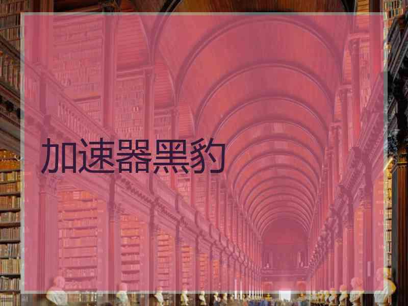 加速器黑豹