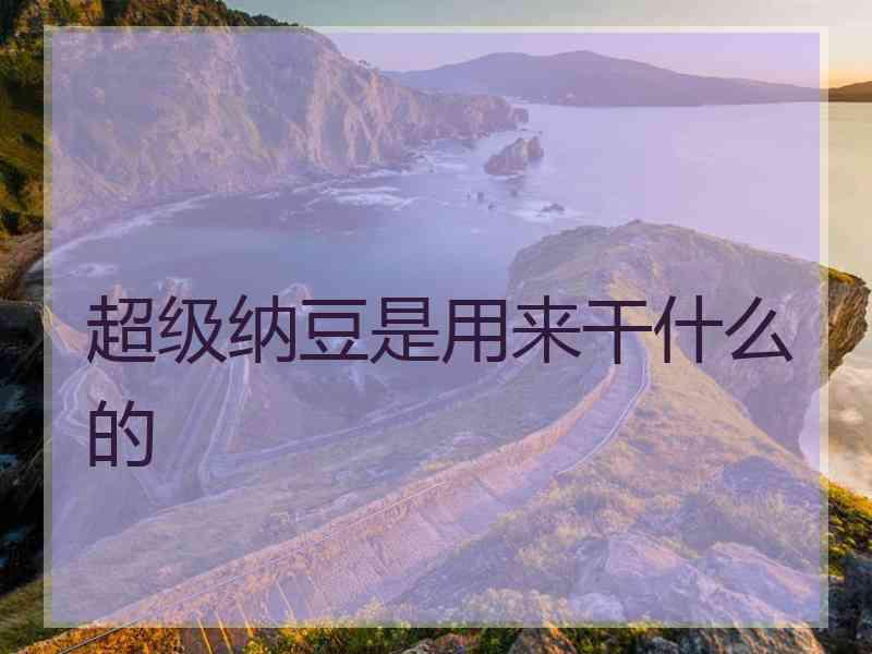 超级纳豆是用来干什么的