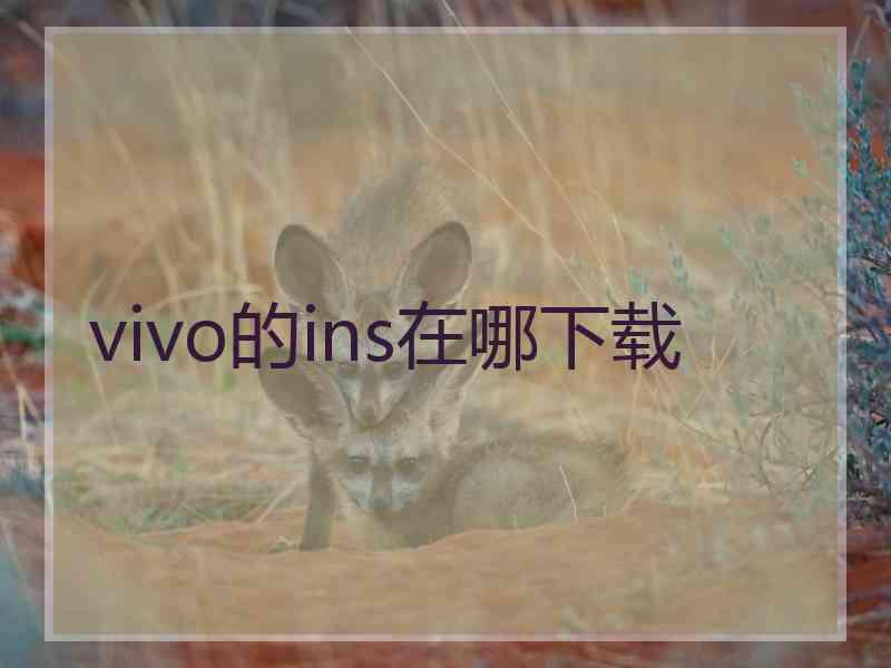 vivo的ins在哪下载