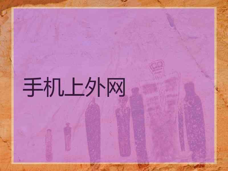 手机上外网