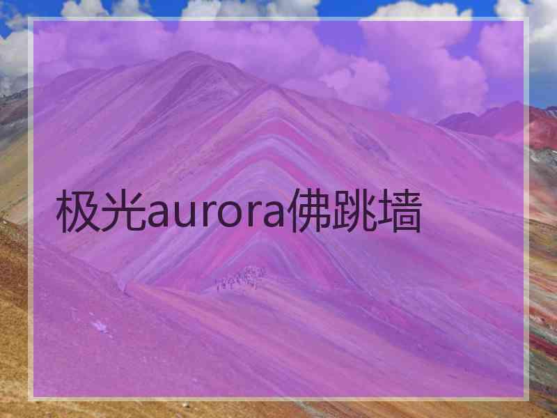 极光aurora佛跳墙