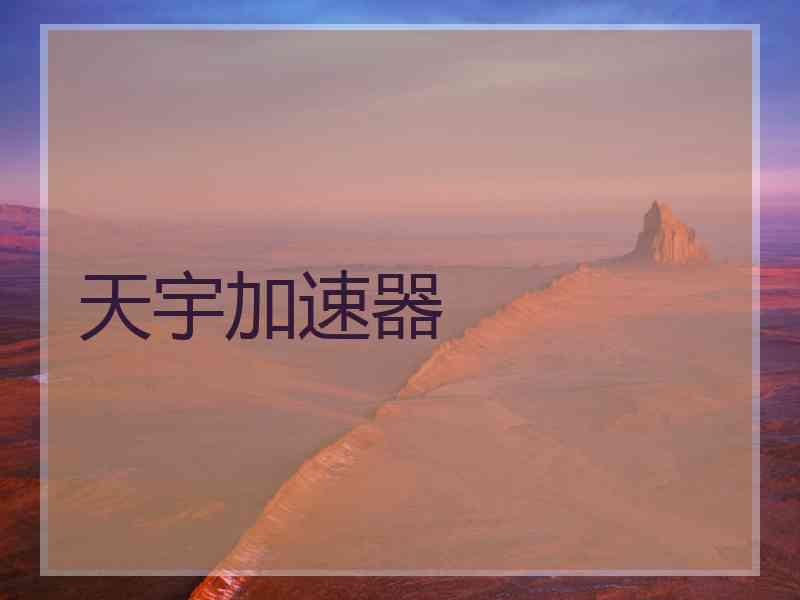 天宇加速器