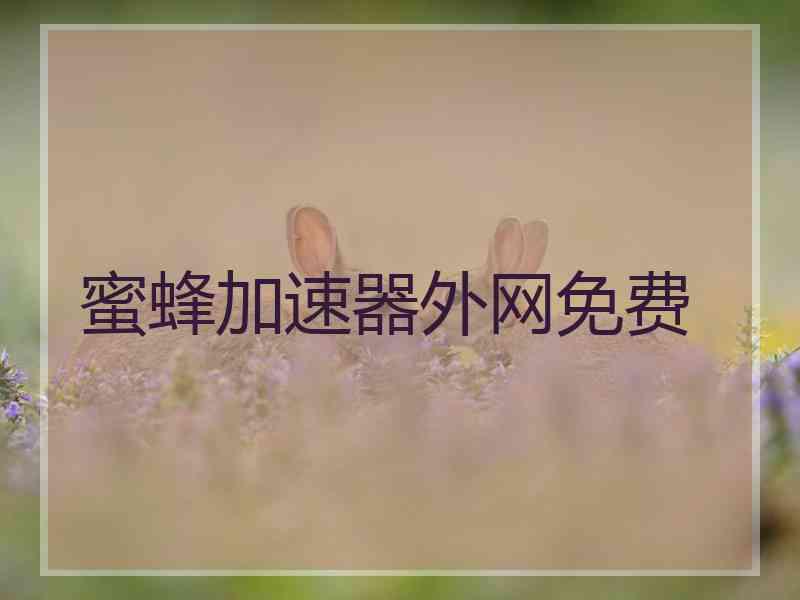 蜜蜂加速器外网免费