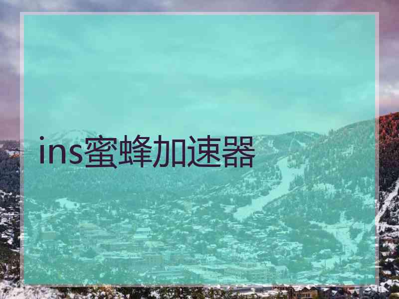 ins蜜蜂加速器