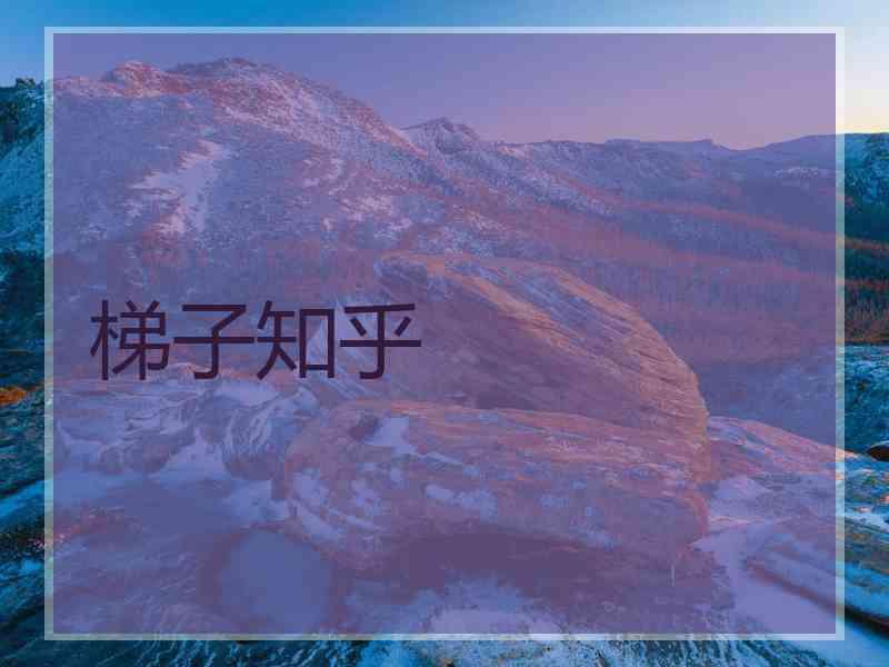 梯子知乎
