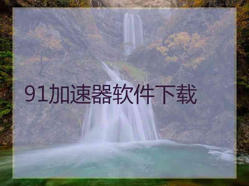 91加速器软件下载