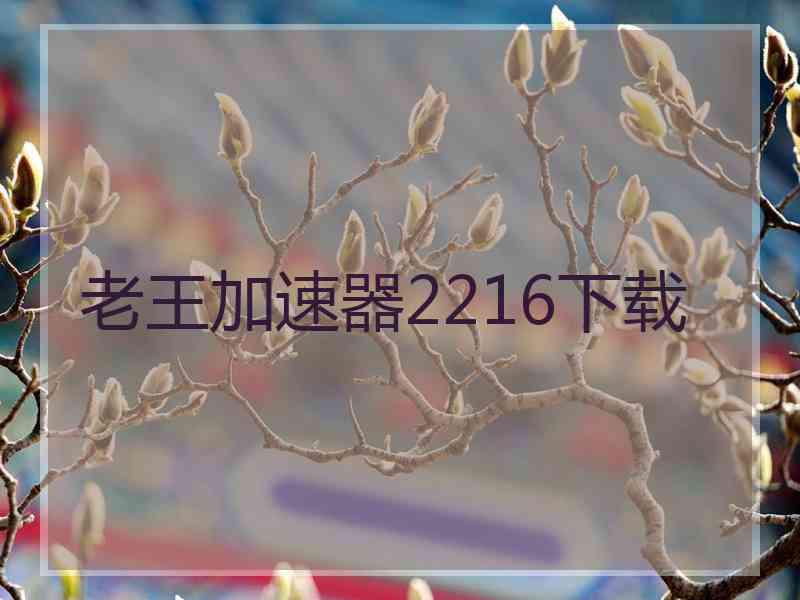 老王加速器2216下载