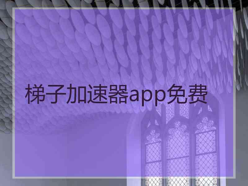 梯子加速器app免费