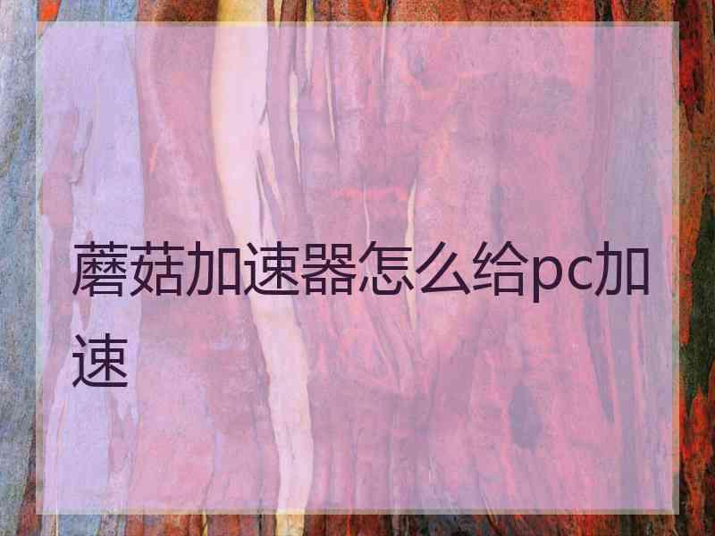 蘑菇加速器怎么给pc加速