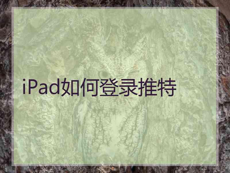 iPad如何登录推特