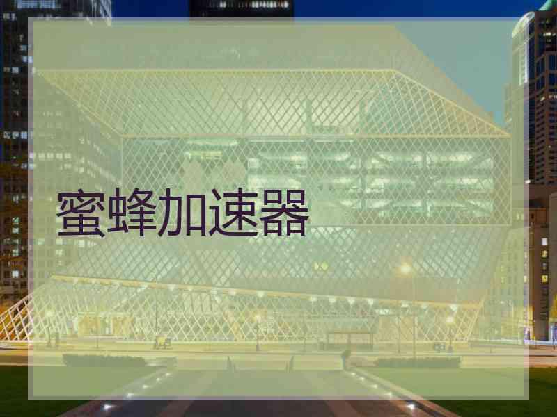蜜蜂加速器