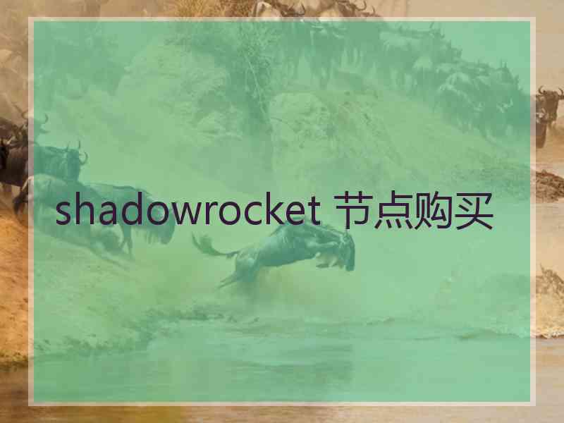 shadowrocket 节点购买