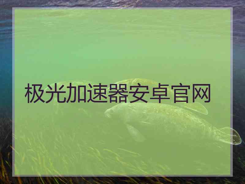 极光加速器安卓官网