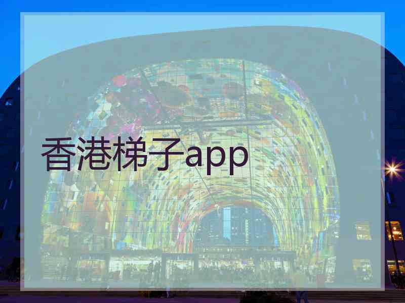 香港梯子app