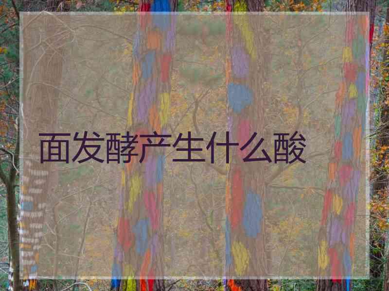 面发酵产生什么酸