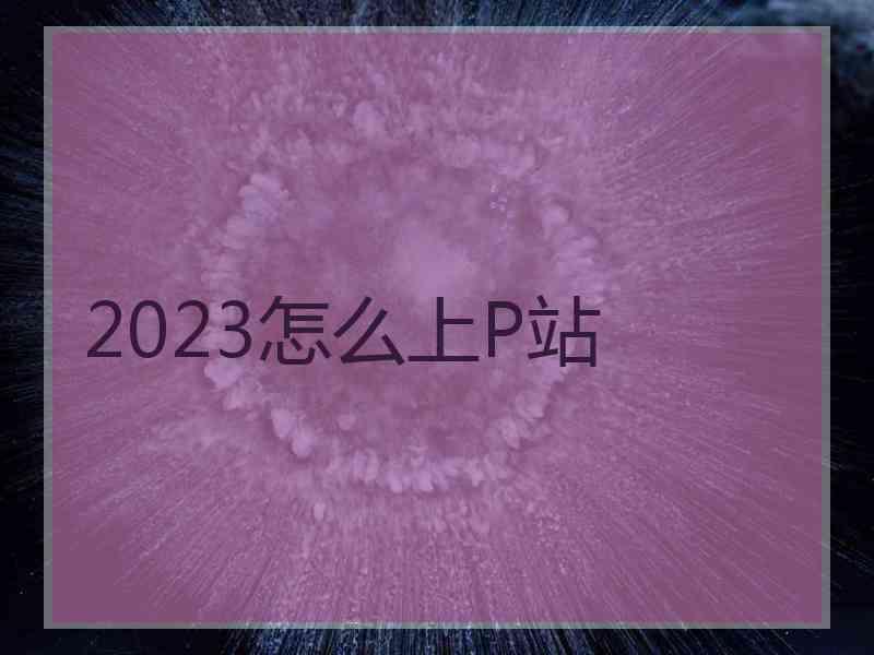 2023怎么上P站