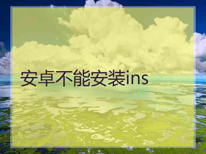 安卓不能安装ins