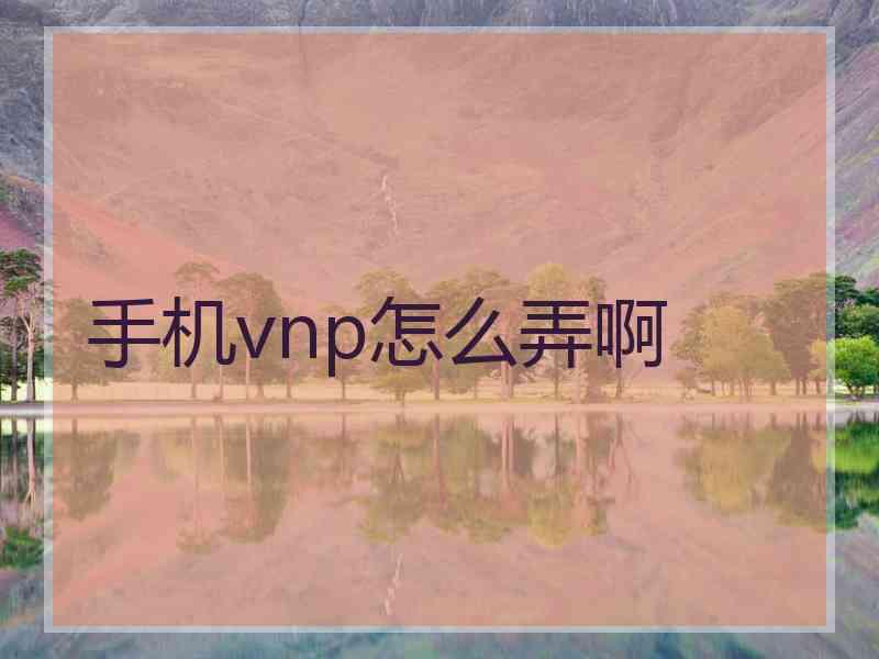 手机vnp怎么弄啊